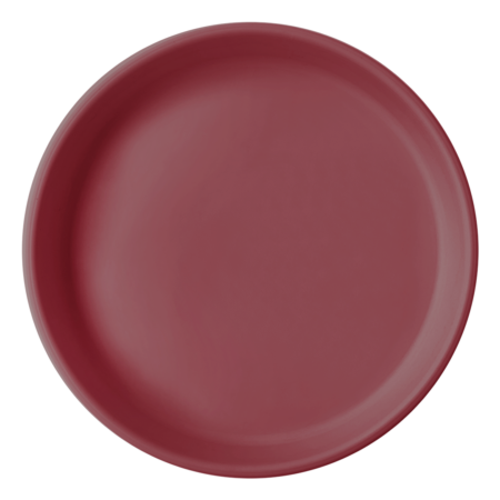 BASICS PLATE
