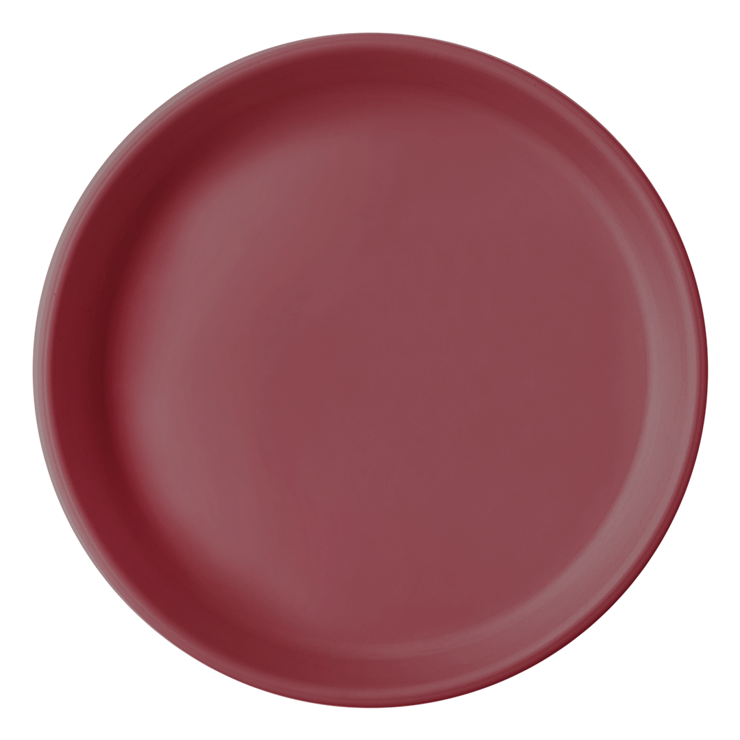 BASICS PLATE